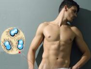 Гонорея у мужчин — фото и описание симптомов, лечение гонореи
